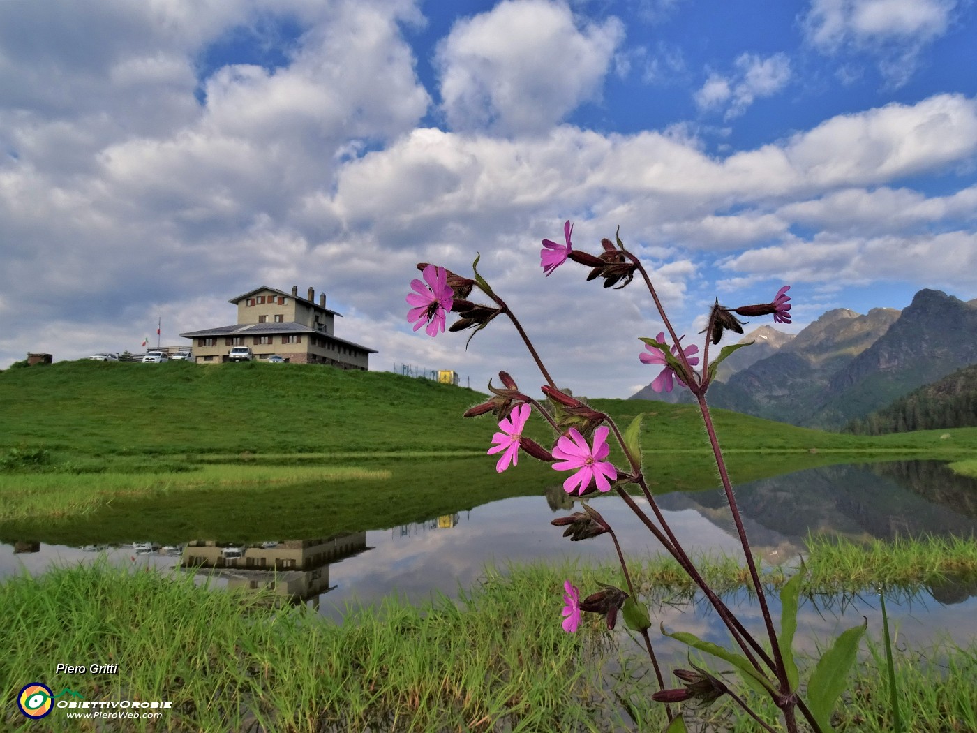 01 Partenza dai Piani dell'Avaro (Albergo-Rifugio Monte Avaro-1704 m) con fiore di Silene dioica.JPG